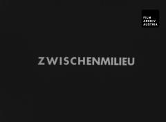 Zwischenmilieu