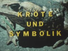 Kröte und Symbolik