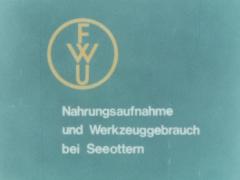 Nahrungsaufnahme und Werkzeuggebrauch bei Seeottern