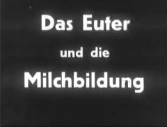 Das Euter und die Milchbildung