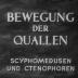 Bewegung der Quallen