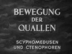 Bewegung der Quallen