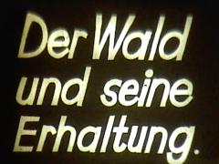 Der Wald und seine Erhaltung