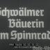 Schwälmer Bäuerin am Spinnrad