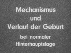 Mechanismus und Verlauf der Geburt bei normaler Hinterhauptslage