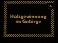 Holzgewinnung im Gebirge