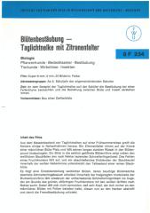 Blütenbestäubung – Taglichtnelke mit Zitronenfalter [Begleitmaterial]