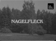 Nagelfleck